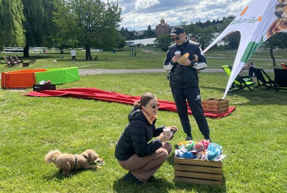 Як пройшов перший день Pets Ville Fest: яскраве свято для чотирилапих та їх власників у Вінниці
