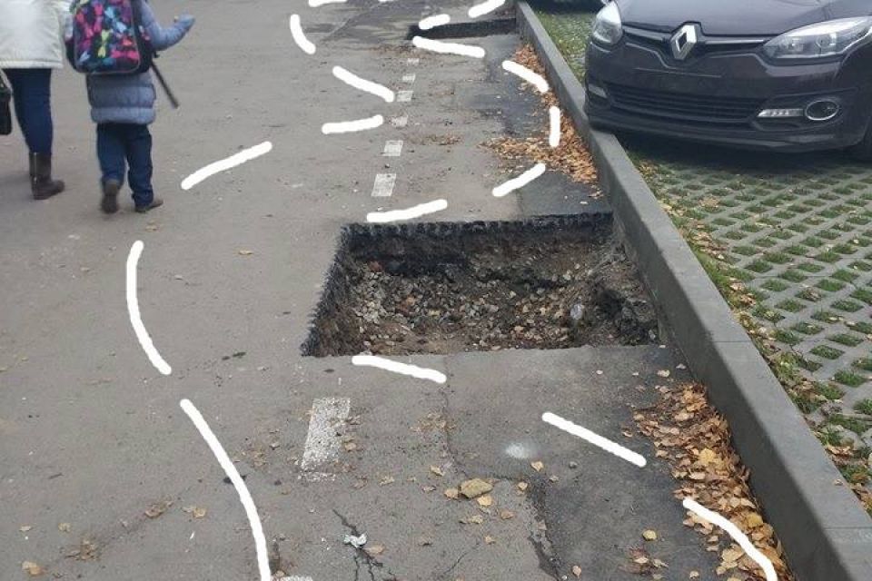 Фото дня. Їзда з перешкодами: розрили велодоріжку, щоб висадити на ній дерева