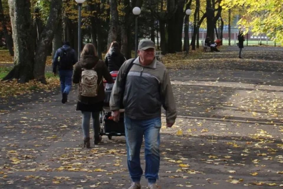 Зміни у жовтні, доля навмисно збитої собаки та інше важливе за 3 жовтня у Вінниці