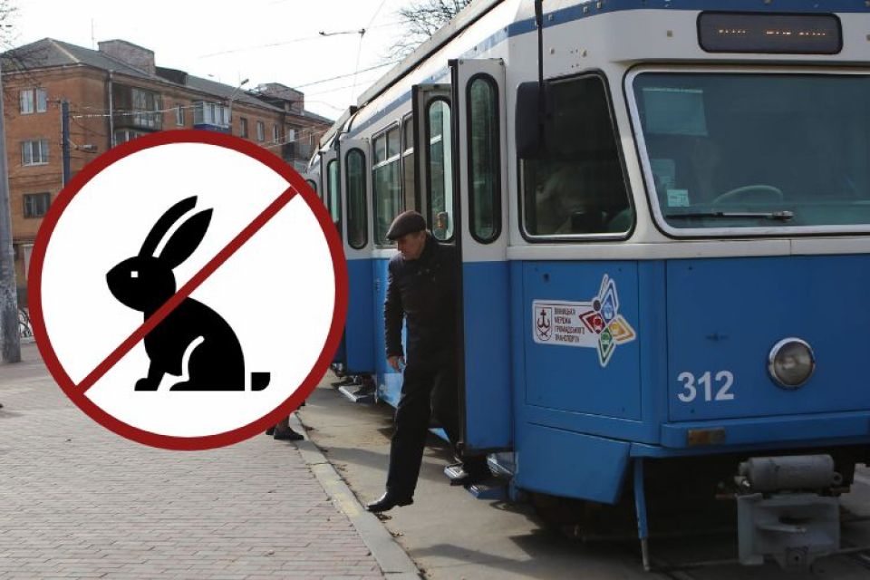«Хами, інколи трапляються ввічливі люди», — вінничани про контролерів у транспорті