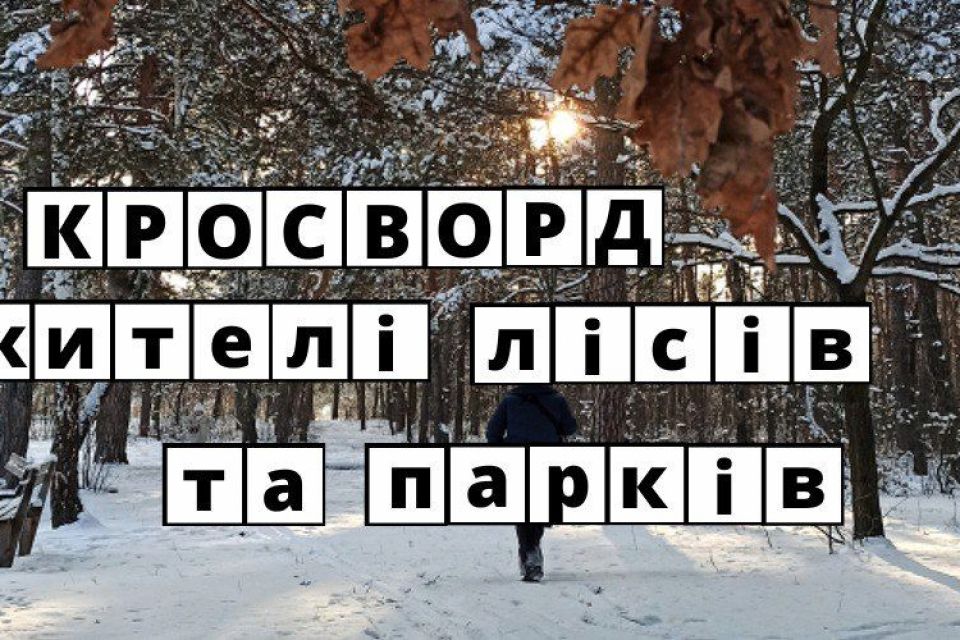 Кросворд від «20 хвилин»: хто живе у вінницьких лісах та парках?