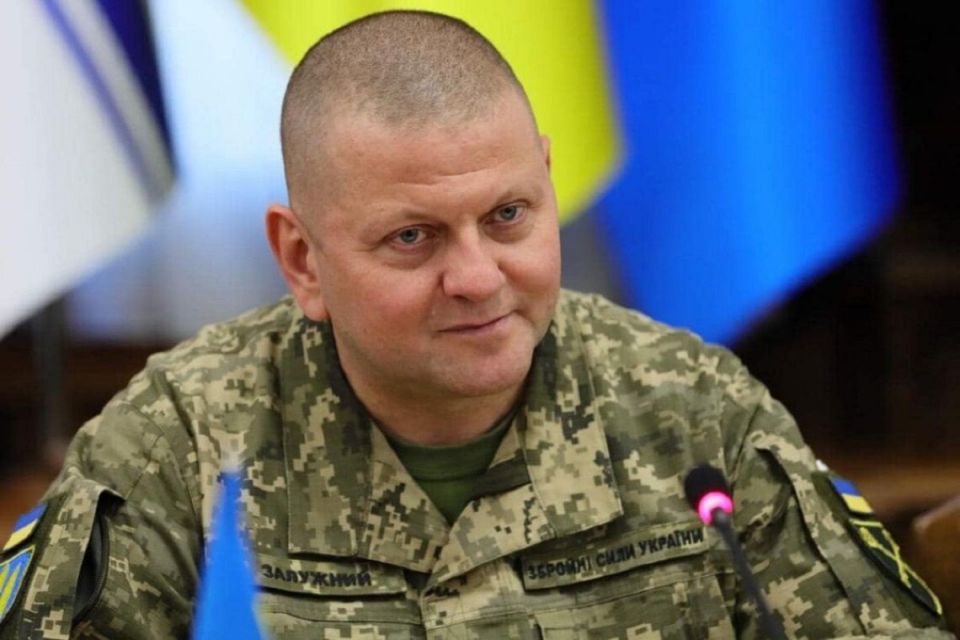 Залужний отримав у спадок від екс-вінничанина мільйон доларів і пожертвував їх на армію