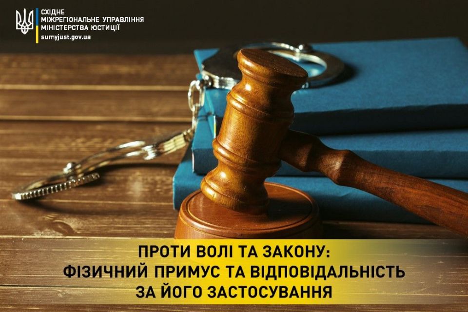 Проти волі та закону: фізичний примус та відповідальність за його застосування