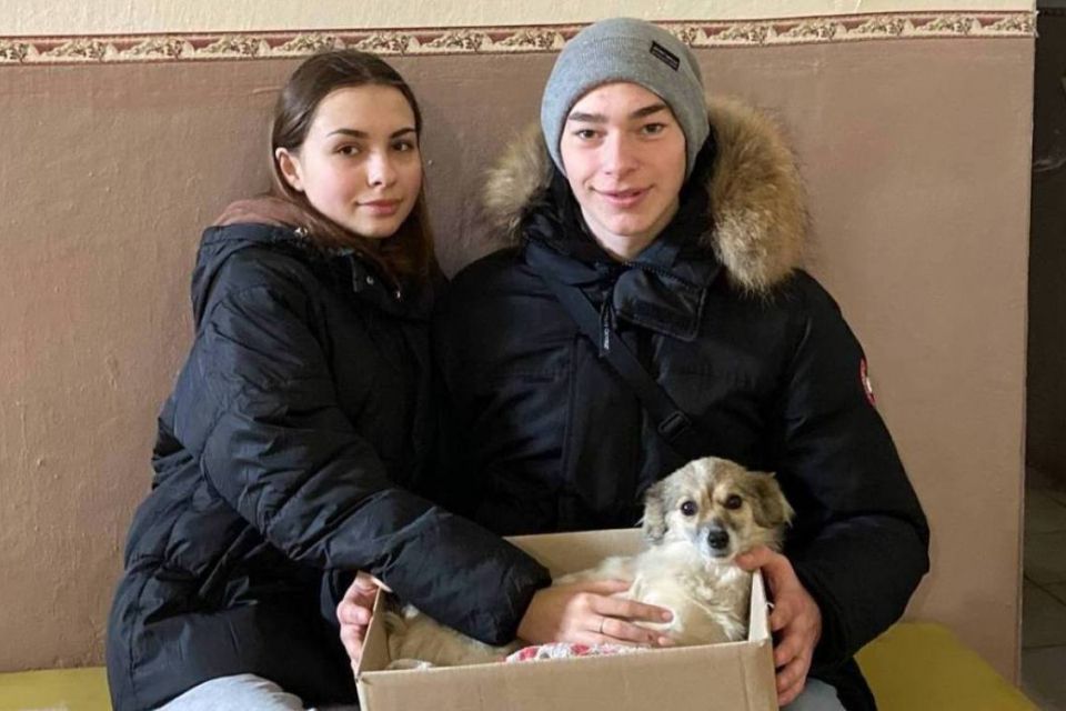 «У нас лікарня для людей, а не для собак». Історія про врятоване цуценя і не тільки