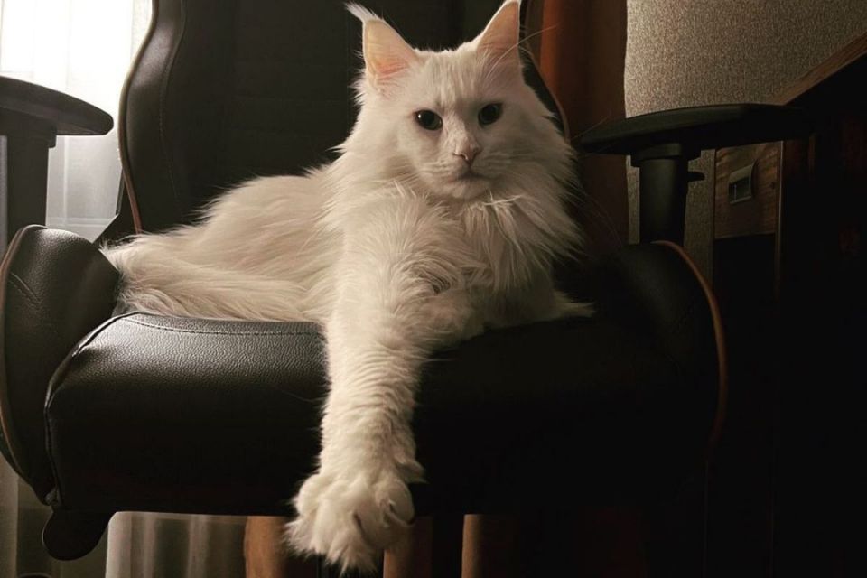 Вінниця в Instagram. Кращі фото за тиждень, що минає