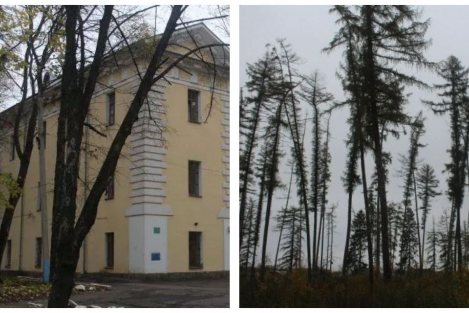«Врятувати П'ятничанський парк»: вінничани просять підписати петицію