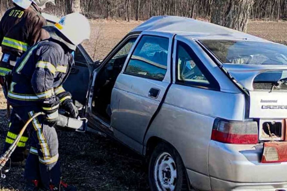 В Оратівській громаді авто врізалось в дерево: загинув 29-річний водій