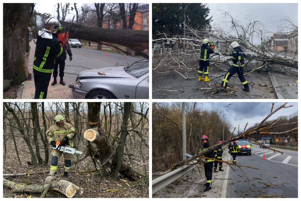 У Вінниці вітер пошкодив автівку, а за містом повалив дерева і заблокував автошляхи