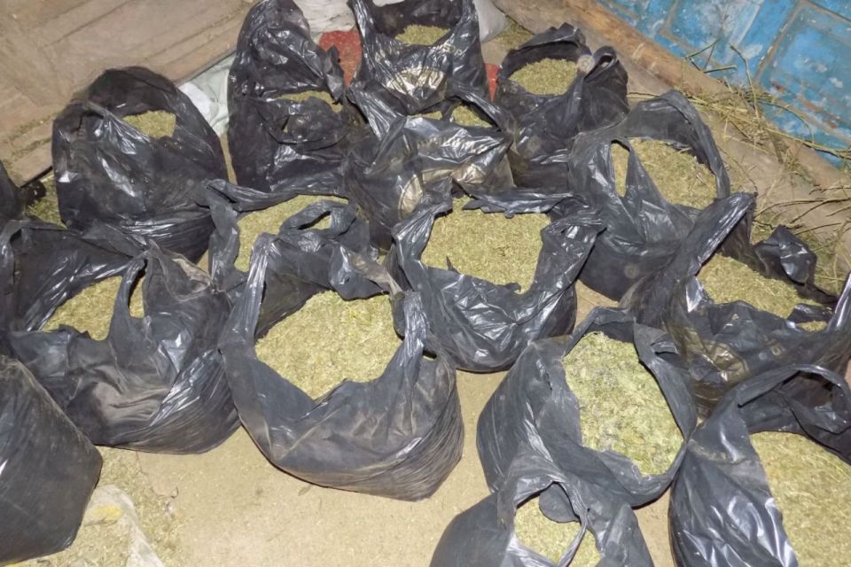 У селі під Баром зловили наркоділка з 47 кілограмами канабісу. Суд дав йому дев’ять з половиною років тюрми