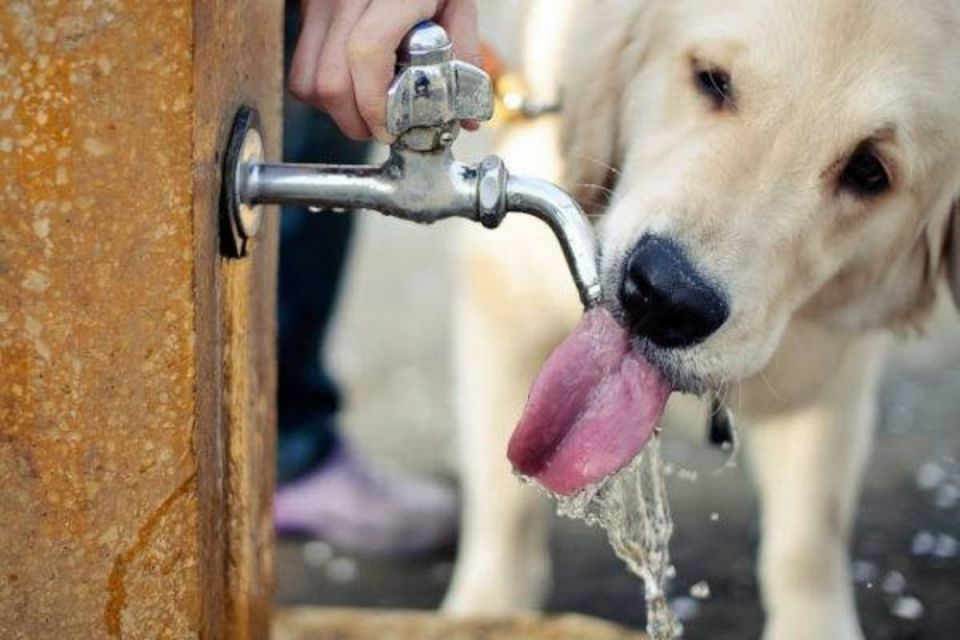 Без води та світла: оперативна інформація про відключення 4 липня