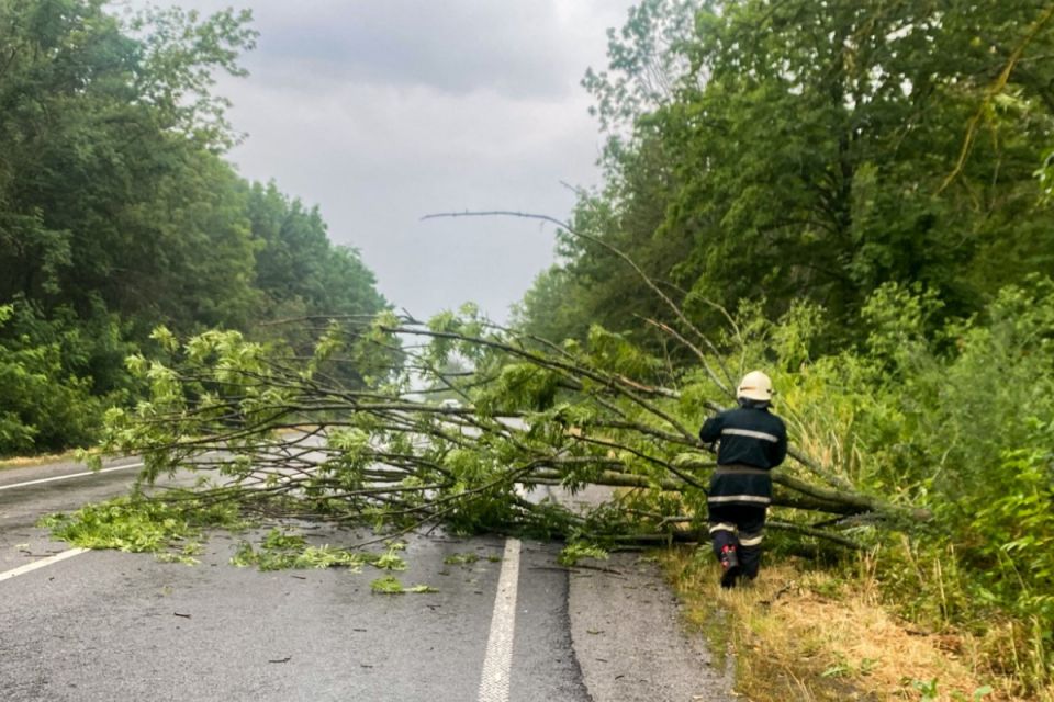 Буревій пройшов на Вінниччині. Надзвичайники виїжджали прибирати повалені дерева