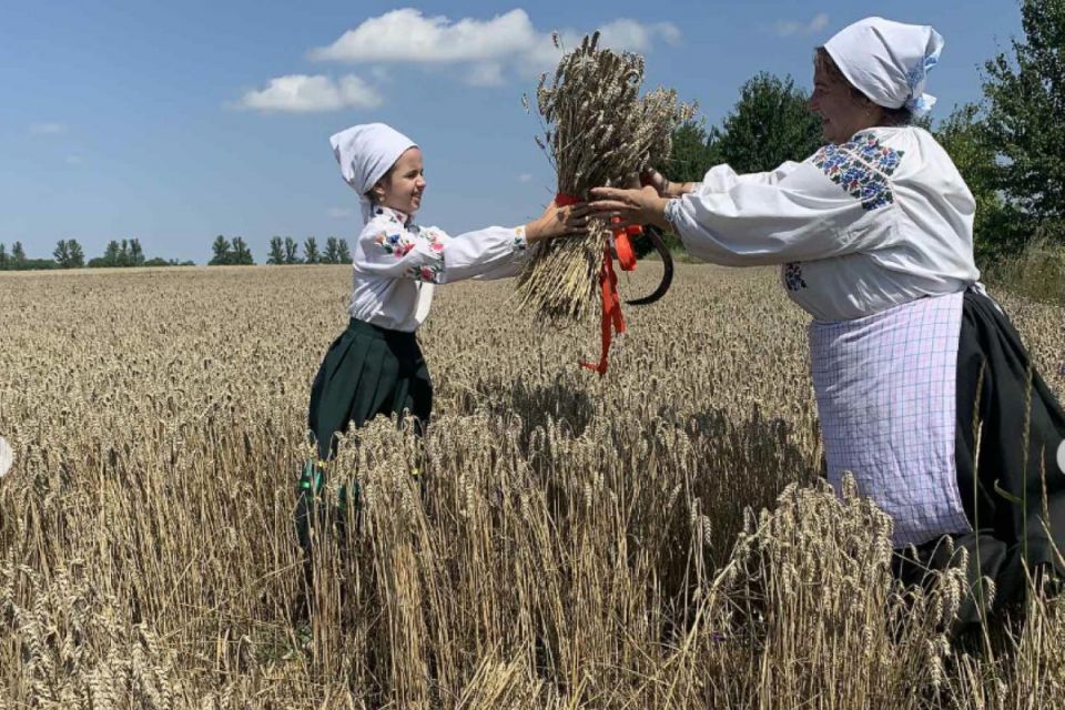«Йшла у поле Гандзя жати, та забула серп узяти»: як у Сьомаках вивели на жнива дорослих і дітей?