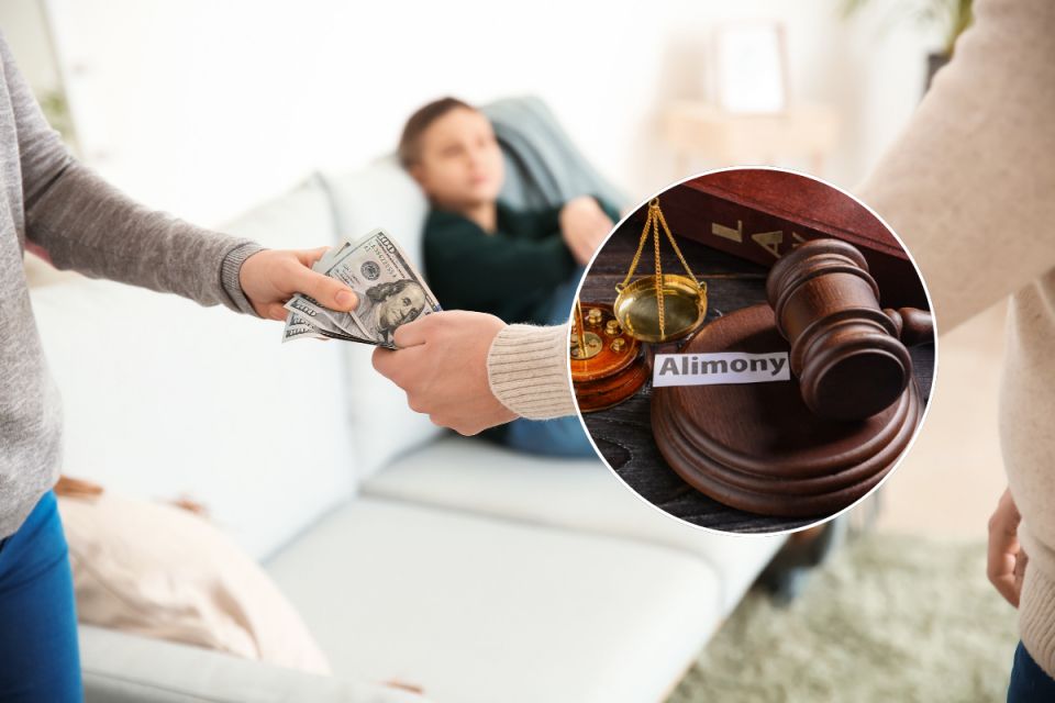 В Україні винесли 12 714 судових наказів на стягнення аліментів у 2025 році. Скільки на Вінниччині?