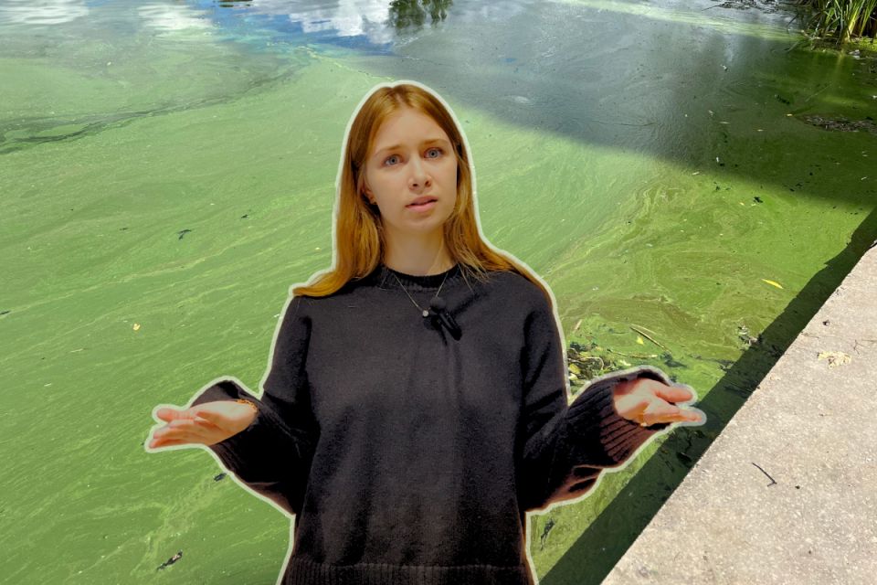 Сморід, мертва риба і смішні штрафи. Хто найбільше забруднює Південний Буг?