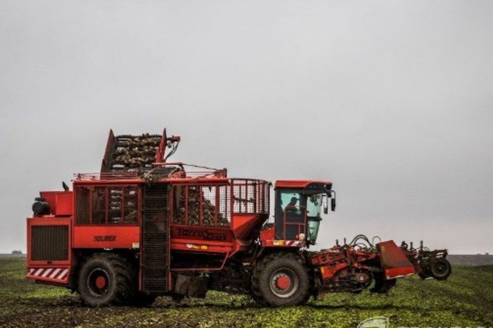«Це сумашедші втрати»: чому два цукрозаводи області зупиняли роботу?