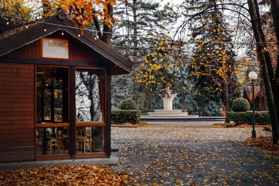 Золота осінь у Вінниці: добірка атмосферних відео з TikTok