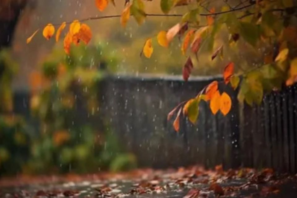 Прогноз погоди для Вінничини: чи буде дощ та коли чекати першого снігу