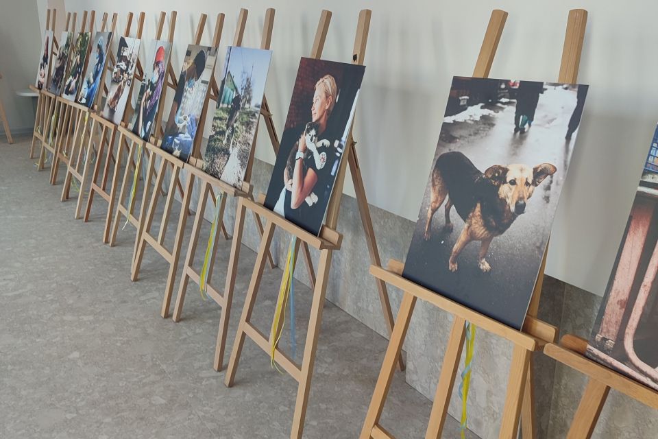 Чотири лапи — тисячі історій: у Вінниці відкривається фотовиставка про роботу зоозахисників у воєнний час