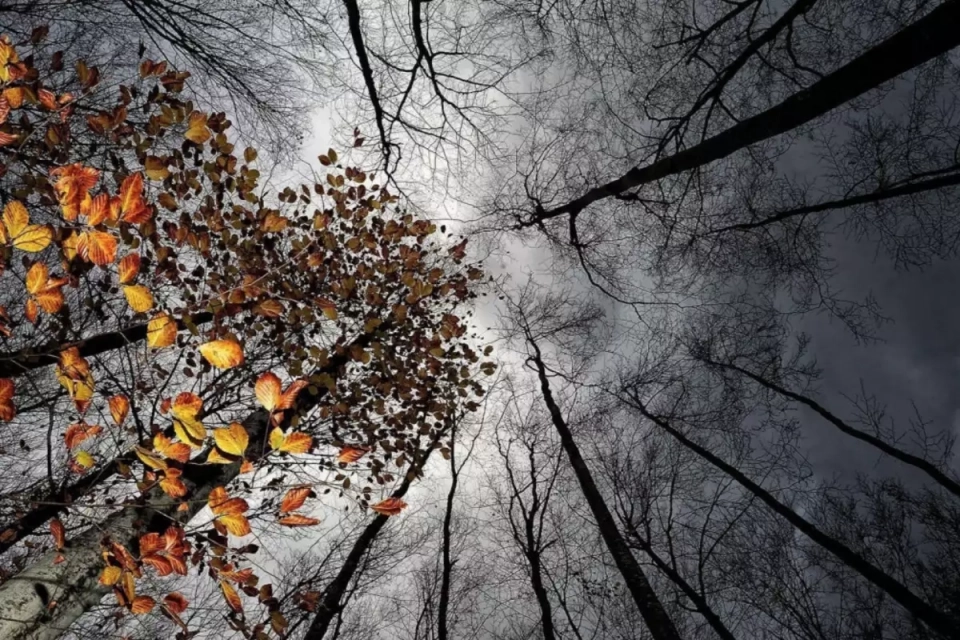 Вихідні на Вінниччині будуть нетипово теплими, але вітряними