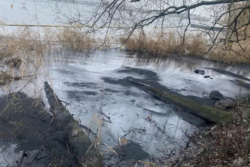 Витік нафтопродуктів на Ладижинському водосховищі пов’язують із наслідками обстрілів ТЕС
