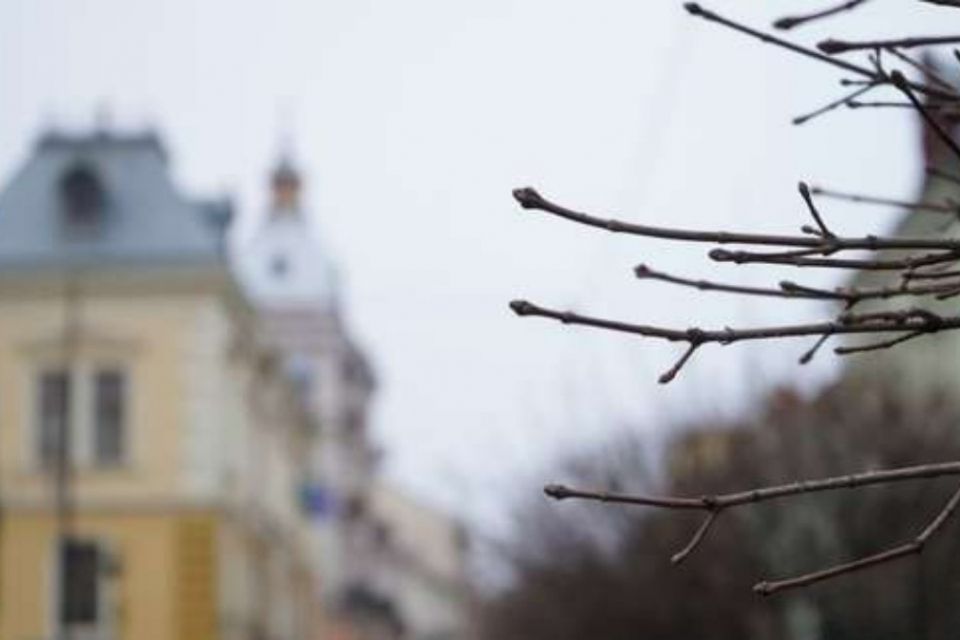 Антициклон Frieda принесе суху погоду: у Вінниці буде без дощу та снігу