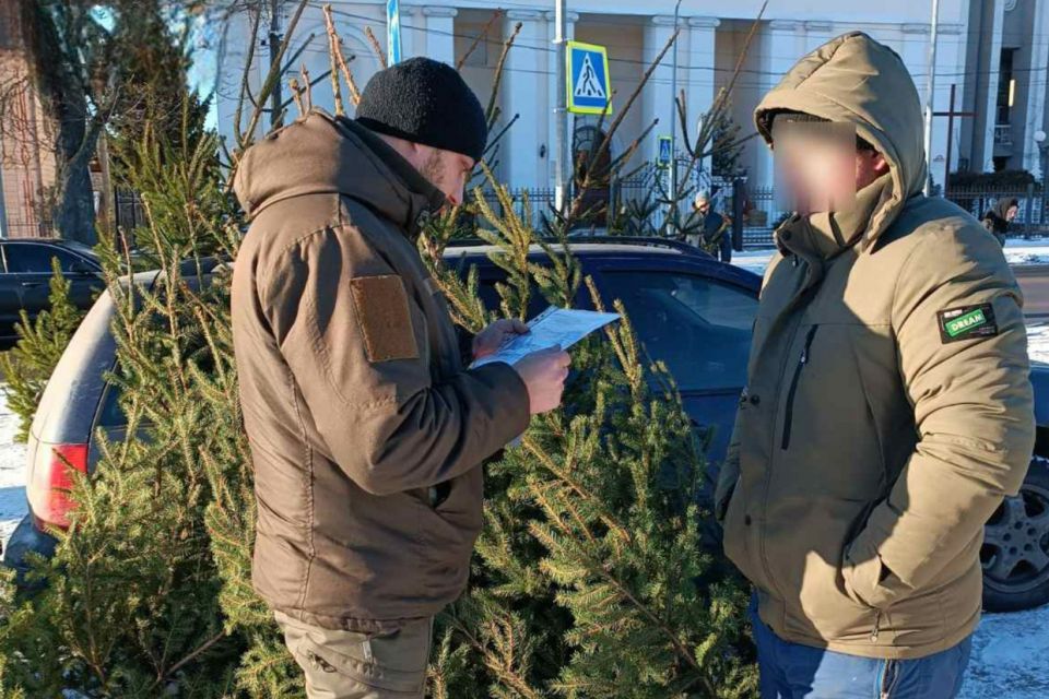У Немирові виявили порушників з продажу новорічних ялинок