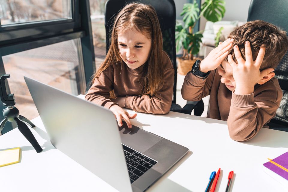 Школи Вінниці йдуть на дистанційку через морози. Як працюватимуть дитсадки та гуртки?