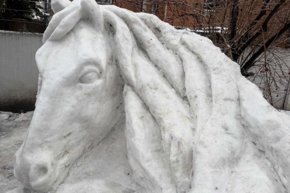 Від напису «Я люблю Вінницю» до снігового коня в Гайсині. Як боєць ЗСУ створює мистецтво
