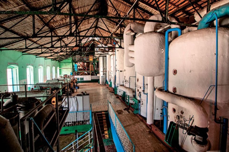 «Вистачить не тільки до чаю»: уже є понад 320 тисяч тонн цукру, але три заводи ще працюють