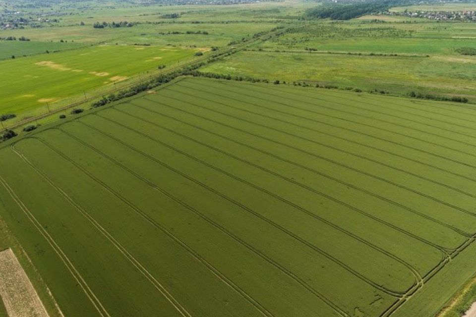 180 гектарів ріллі на Жмеринщині вилучили у недобросовісного орендаря