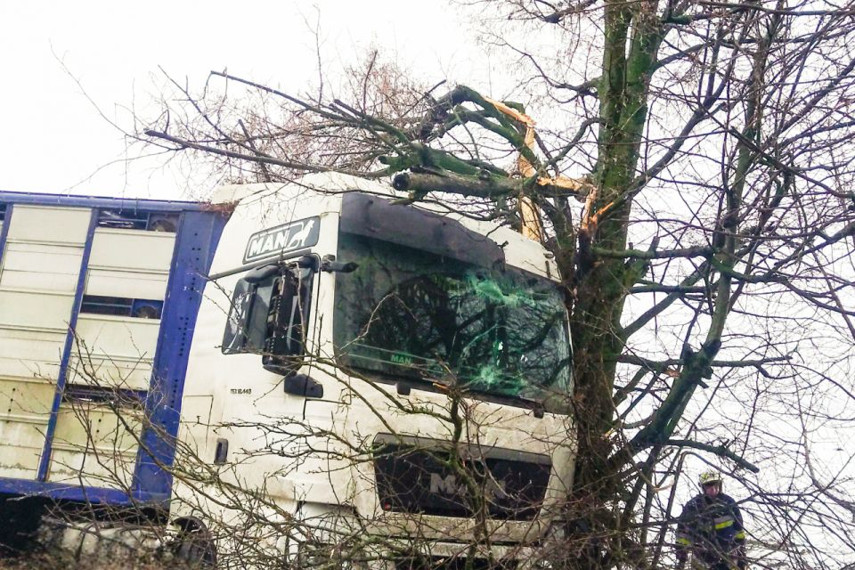 У Бершаді вантажівка врізалася в дерево