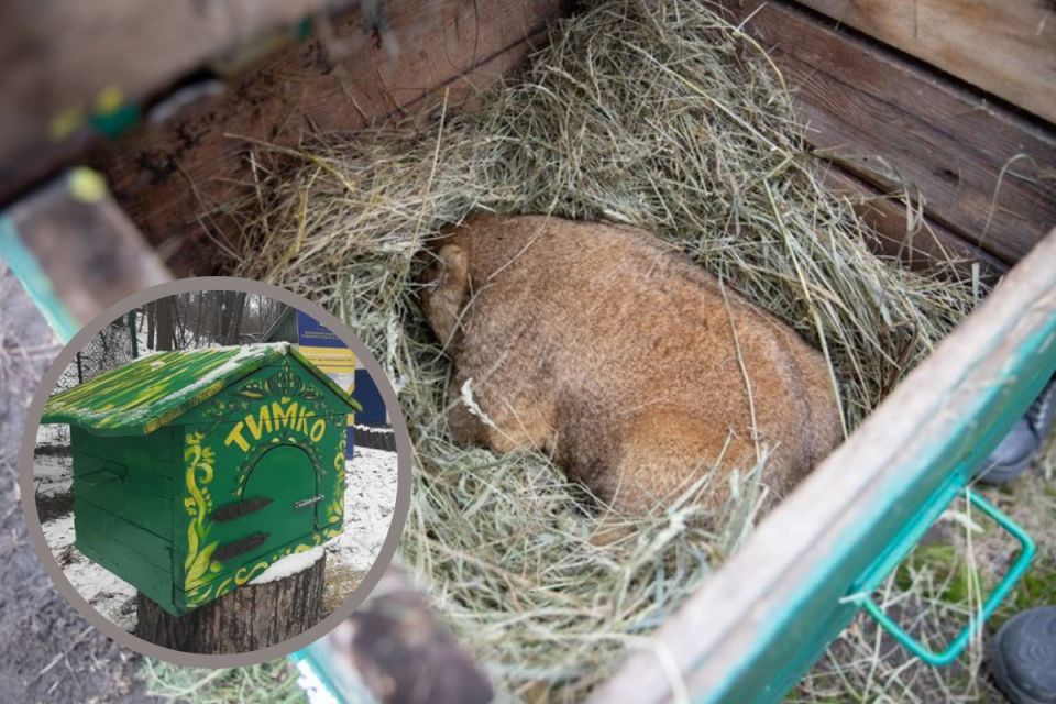 Весна чи продовження лютих морозів? Дізнайтеся, який прогноз дав новий головний синоптик країни