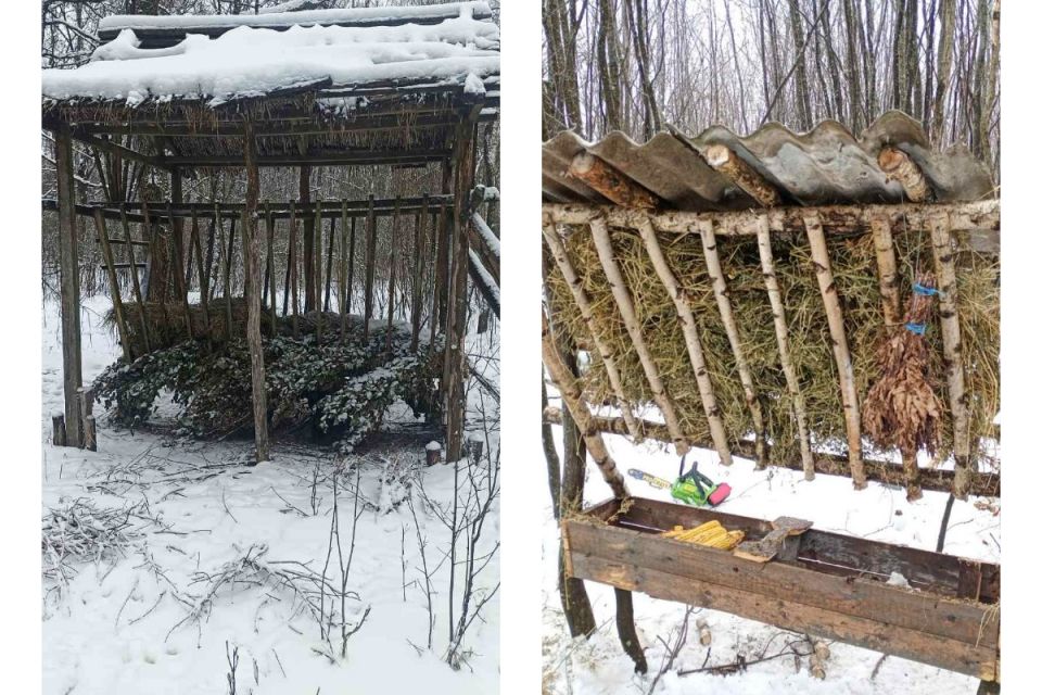 Козулі, олені та кабани. Екологи підрахували чисельність дикої фауни у Хмільницькому районі