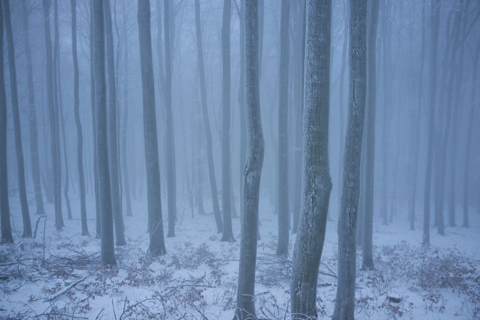 Сьогодні вітаємо Захарія, Данила та Марію. Історія, заборони та прикмети 8 лютого