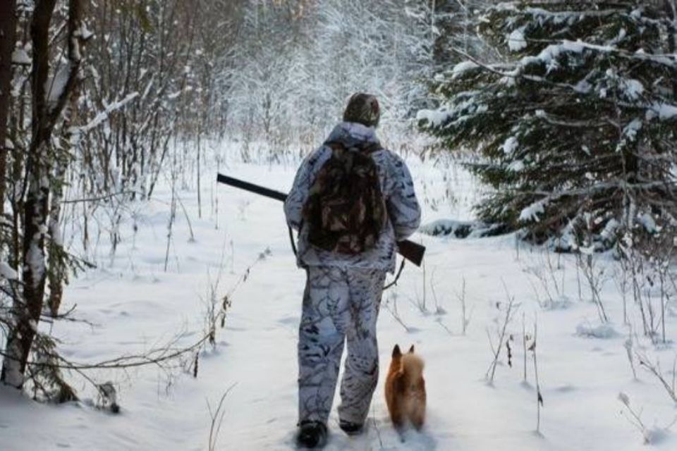 На Тульчинщині цими вихідними проведуть відстріл хижих і шкідливих тварин