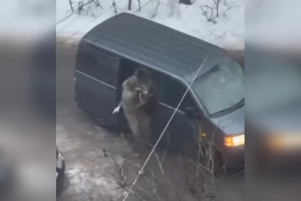 Запхали в чорний бус і повезли в невідомому напрямку — у ТЦК відреагували на інцидент