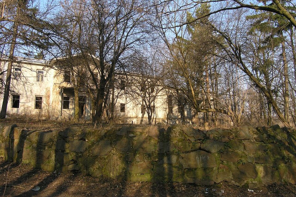Був палац і цукроварня: яку історію приховують руїни садиби Ліпковських в Красносілці