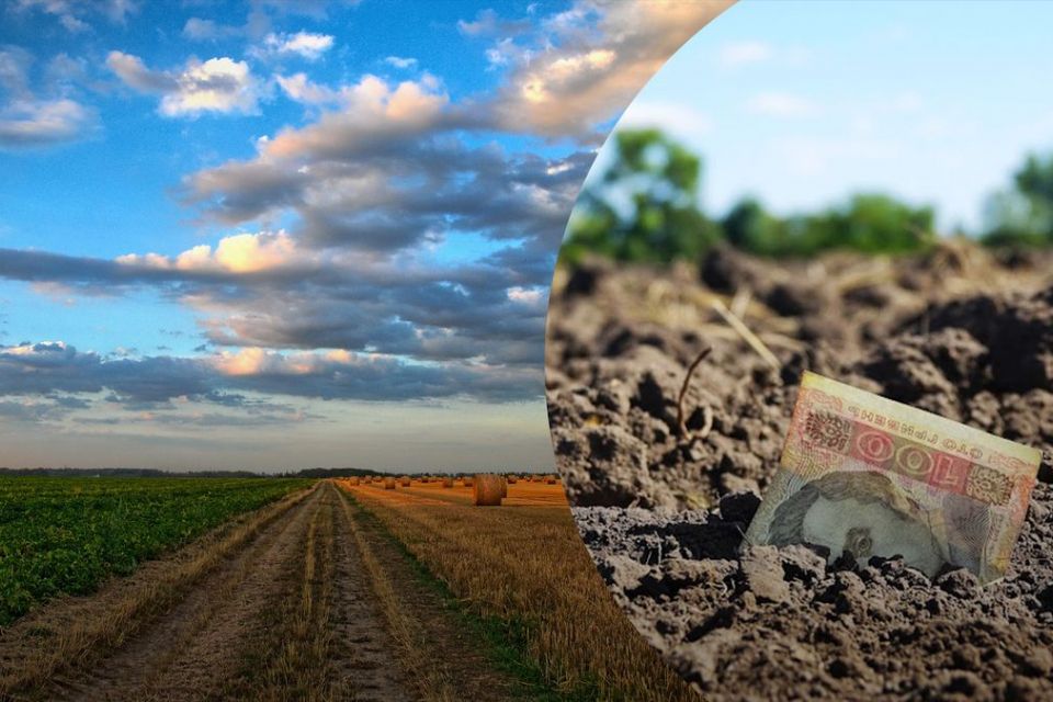 Фермер із Вінниччини повернув до бюджету понад 4,5 мільйона податків