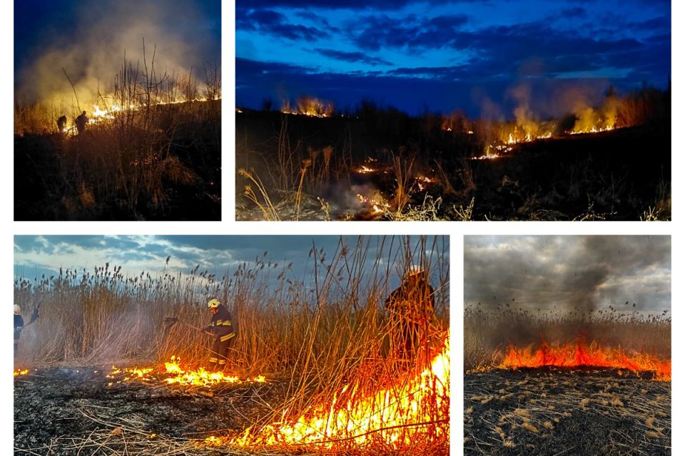 Вогонь знищує все: за добу на Вінниччині вигоріли гектари землі та загинули сотні тварин