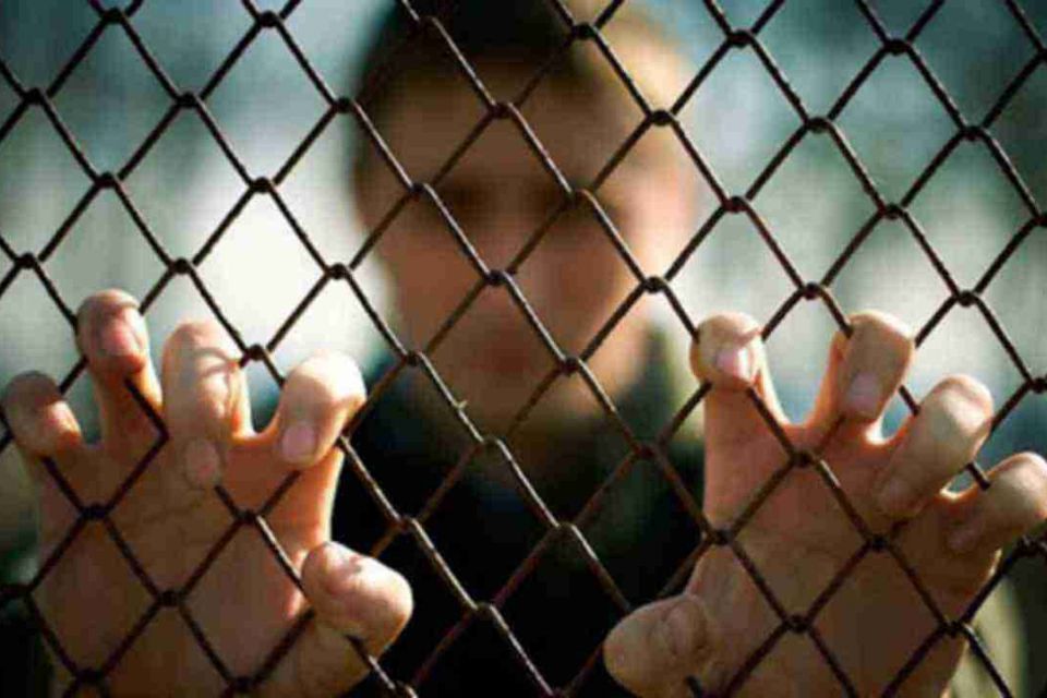 Від прибирання до догляду за тваринами. У Вінниці неповнолітніх, які порушили закон, залучать до роботи