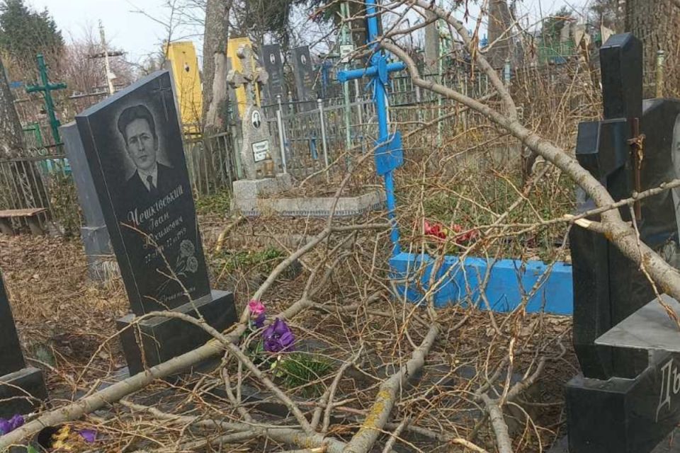 «30 років прошу зрізати старі дерева на кладовищі»: жінка викликала поліцію на цвинтар у Калинівці
