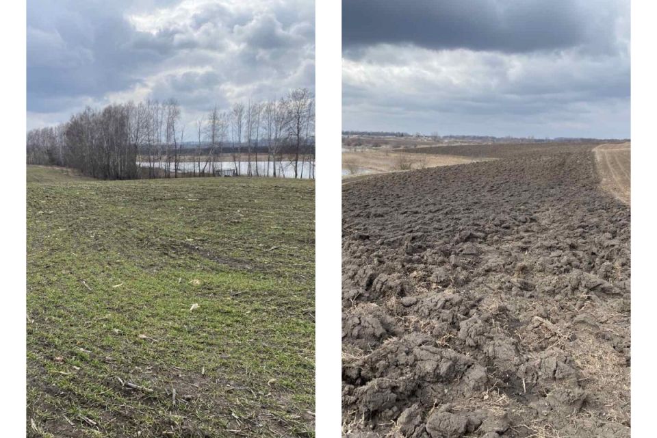 Замість пляжів — городи: на Вінниччині незаконно засіяли береги річок