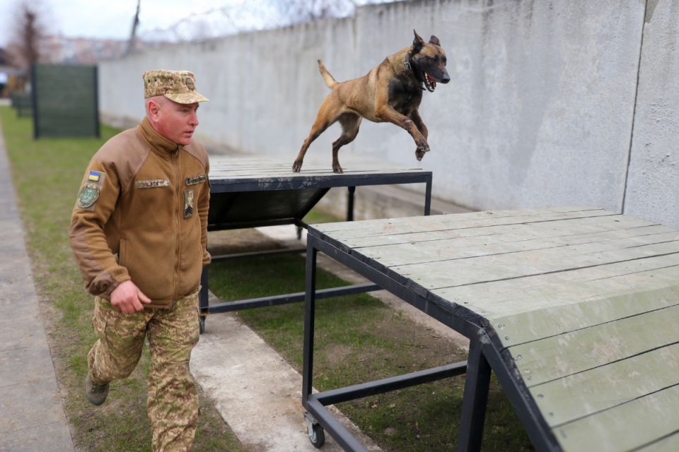 Тандем, що рятує життя. У Вінниці пройшли масштабні збори військових кінологів