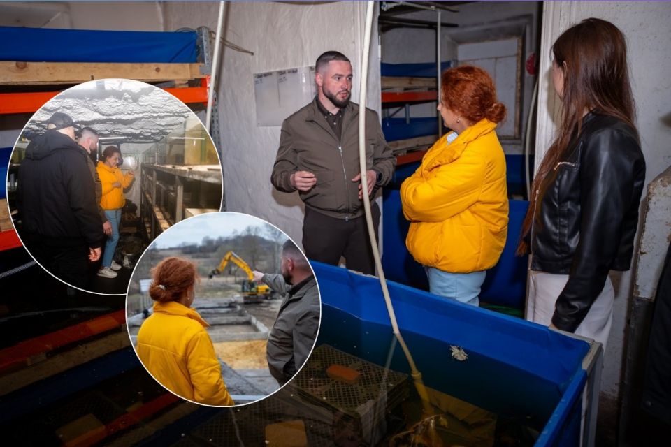 Ветеран відкрив креветкову ферму на Вінниччині  та розповів як відбуваються процеси всередині