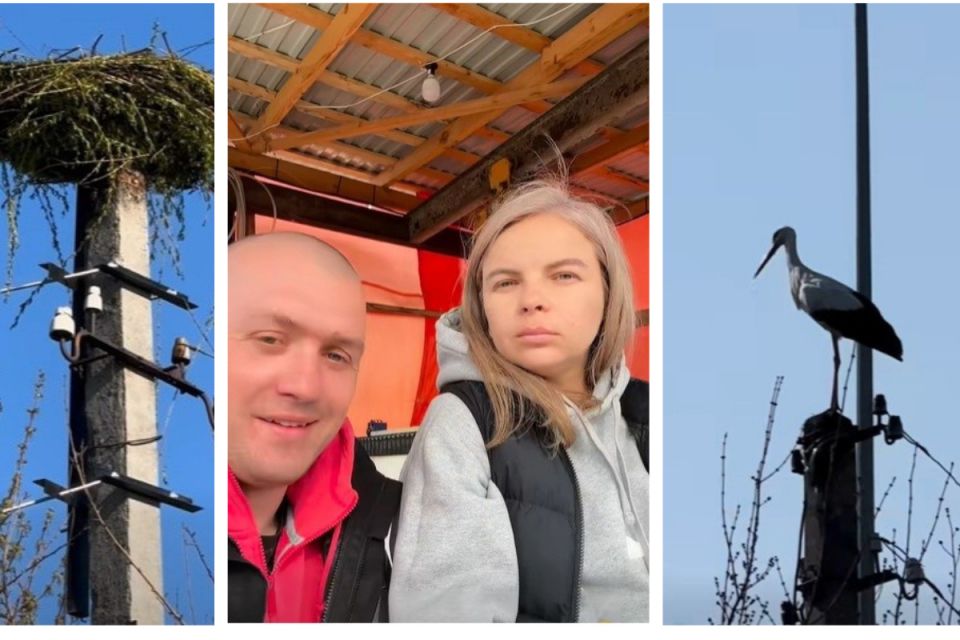 «Повертайся, друже, твоя хата готова!»: подружжя з Ямполя відновило згоріле гніздо лелек