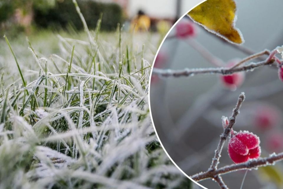Вінниччину з понеділка накриють сильні заморозки. Синоптики розповіли коли чекати на потепління