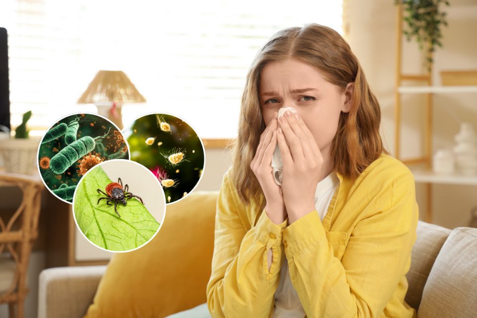 Інфекції, алергії та укуси кліщів: які небезпеки активізуються весною і як від них уберегтися