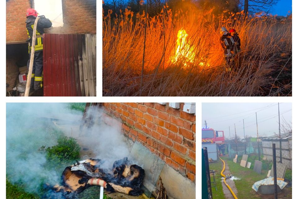 Від автівок до екосистем: на Вінниччині за добу загасили сім пожеж