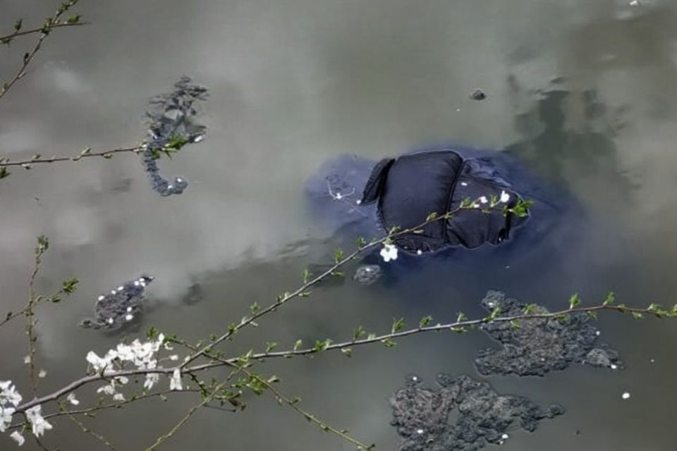 Трагедія на ставку в Піщанській громаді — рятувальники дістали з води тіло 60-річного чоловіка