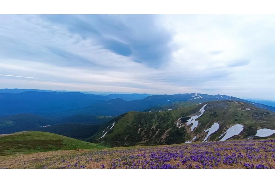 Закарпаття відпочинок: куди поїхати та скільки це коштує у 2026 році (Новини компаній)